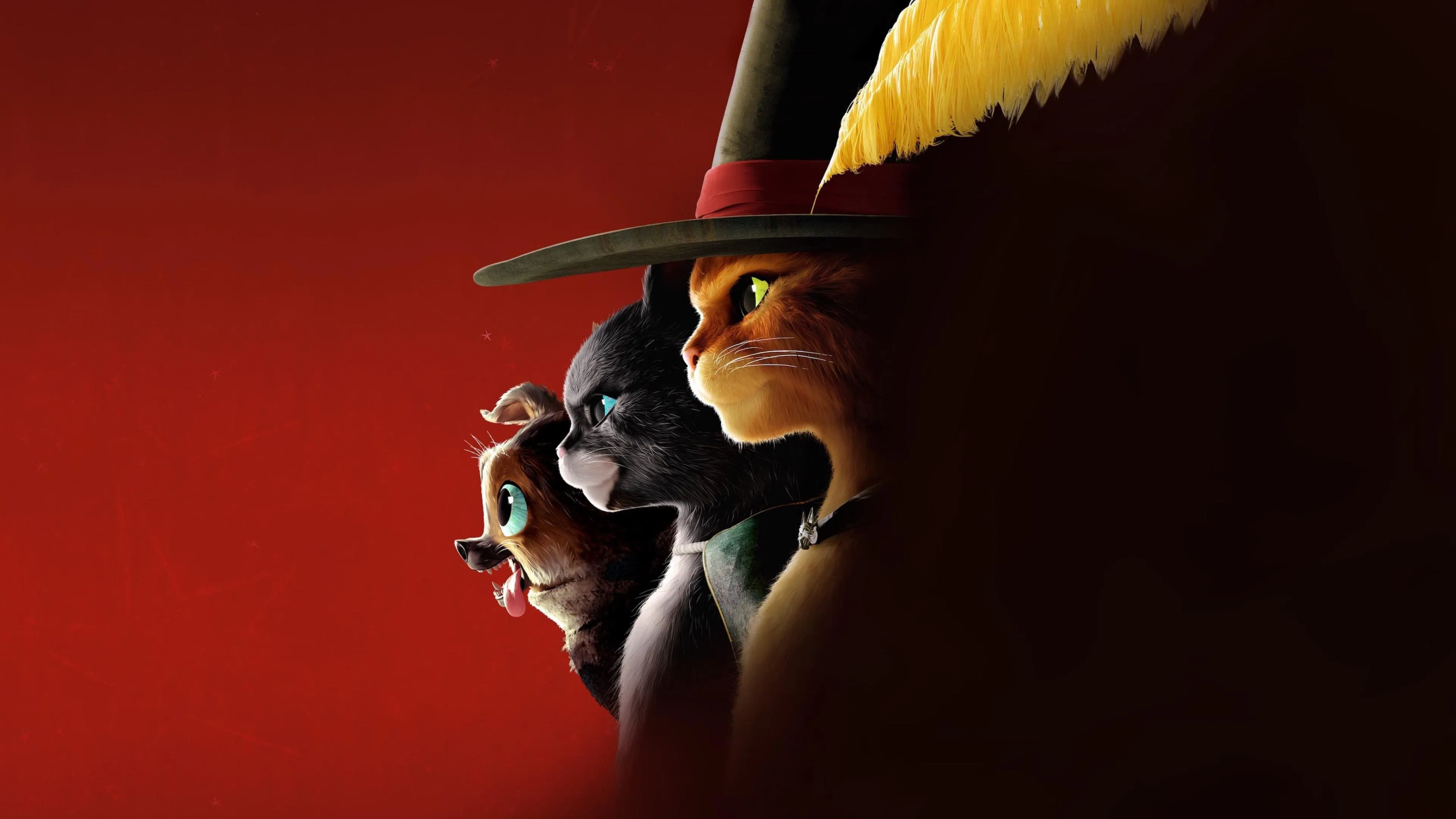 Still 5 from Puss in Boots: The Last Wish